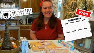 Tight Budget Grocery Haul\ Weekly Meal Planner