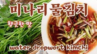 천연 해독제 미나리로 물김치 만들기  Making water kimchi with natural antidote dropwort