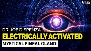 Ways to Access Transcendent Reality via the Pineal Gland | Dr. Joe Dispenza