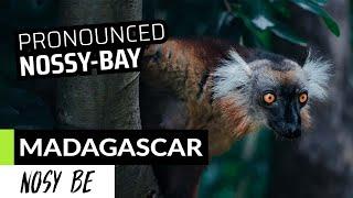 Volunteer and Intern in Nosy Be Madagascar | Planet | GVI