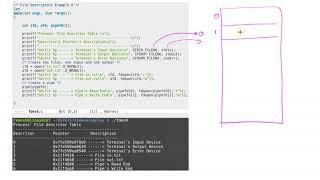 File Descriptors Explained