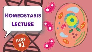 MCAT Biology Lecture: Homeostasis (1/1)