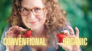 Debunking the Dirty Dozen | Why Organic AND Conventional Produce is Healthy