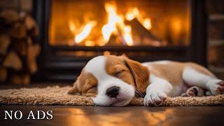 Deep sleep music for dogsAnti-anxiety music for dogsMusic help your dog sleep after 30minutes