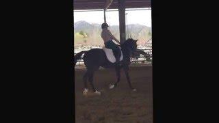 Krista and Johnny 4.16.16 Second Level Test 3. 1st Ride.