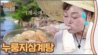 올 여름(초복, 중복, 말복)엔 누룽지 삼계탕으로 극복 하자구요! Chicken soup recipe