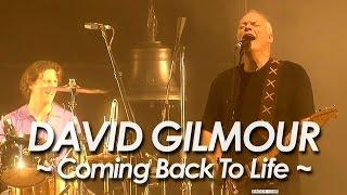 DAVID GILMOUR ：PINK FLOYD 『Coming Back To Life』by miu JAPAN