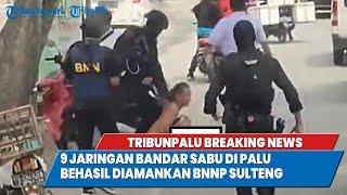 TRIBUNPALU BREAKINGNEWS : 9 JARINGAN BANDAR SABU DI PALU BEHASIL DIAMANKAN BNNP SULTENG