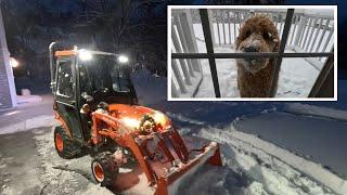 First Snow Of 2024 & Bean's First Snowfall  - Kubota BX23S W/Curtis Premium Cab