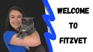 Welcome to FitzVet!