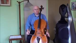 Hillel Zori: how to use the back muscles while playing the cello