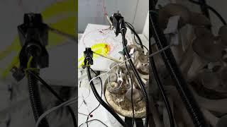 Mushroom Creating Abstract Art #mushroomart #bionics #robot #bioelectricity #abstractart #art
