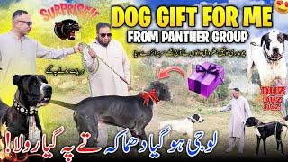 Surprise Dog Gift For Me  From Panther Group || All Record Break || Rola pe Gaya dazz dazz