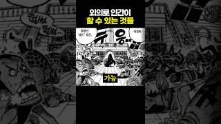 원피스) 의외로 인간이 할 수 있는 것들