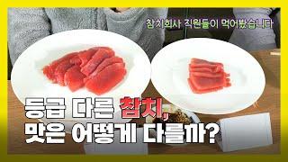 [참치meal한 실험] 참치회사 직원들이 알려주는 고품질 참치회를 먹어야 하는 이유