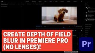 Create Depth of Field in Premiere Pro - NO LENSES - Blurry Background