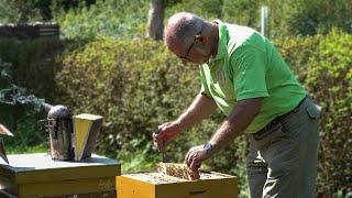 Bienenfest - Tag des offenen Bienenstocks (Bienenzuchtverein St. Michael)