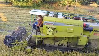 Agriculture | Rice Farming | Harvester | Free HD Video - No Copyright | Free Stock Video