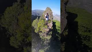 The Perch - Hiking on Madeira Island in Portugal #shorts