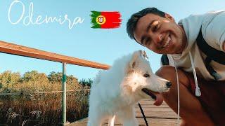 Most underrated Market village in ALENTEJO? Odemira Portugal | Nomad artist and samoyed dog