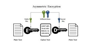 What is Crypto Ransomware - A Guide to Crypto Ransomware and How to Defeat It