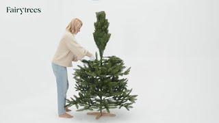 FairyTrees artificial Christmas tree - assembly instructions 2024