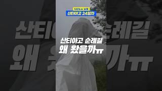 걷다가 운 이유