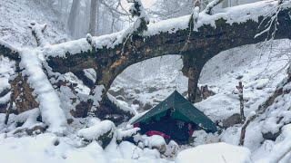 Can you survive in a blizzard and heavy snow ? Camping in heavy snow under trees