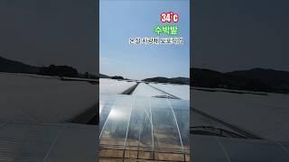 비닐하우스 드론 페인드작업