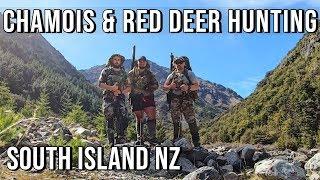 South Island NZ Hunting Mission October 2019