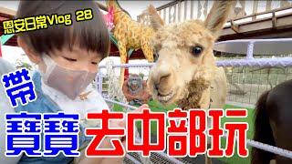 恩安日常Vlog 28｜中部親子旅遊 挖蛤蠣 可愛動物餐廳 恩恩老師EanTV