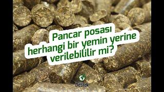 Pancar Posası herhangi bir yemin yerine verilebilir mi?