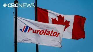 Purolator, UPS pause shipments from couriers amid backlog from Canada Post strike