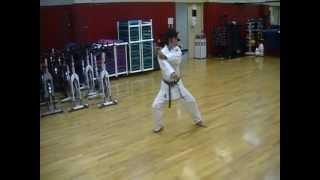 brown belt kata