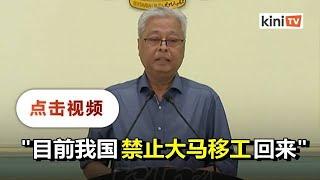 新加坡"马劳"暂不准回国   部长：除非证明没病