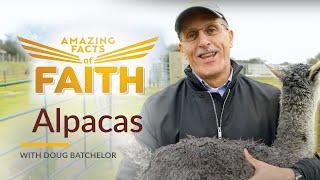 Amazing Facts of Faith: "Alpacas" with Doug Batchelor