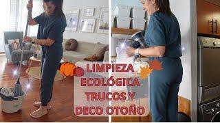 TRUCOS DE LIMPIEZA | LIMPIEZA ECOLOGICA DE LA CASA | DECORACION DE OTOÑO SALON