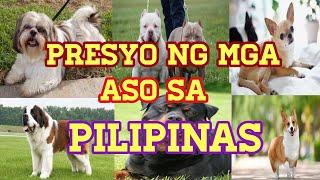 PRESYO NG MGA ASO SA PILIPINAS | DOGS PRICE LIST IN THE PHILIPPINES | DER DOGS