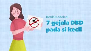 7 Gejala DBD Pada Anak, Waspada Moms | Info Graphic