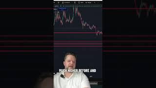 PeiPei Coin Explosion Incoming?  2025 Price Prediction!
