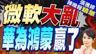 謝寒冰:感謝美國制裁結果｜微軟大當機 陸基礎設施為何都沒事?｜微軟當機全球大亂 華為鴻蒙贏了 蔡正元.栗正傑深度剖析?【張雅婷辣晚報】精華版   @中天新聞CtiNews