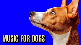 Music for Dogs to Relax to! The Best Soothing & Calming Dog Music on YouTube!