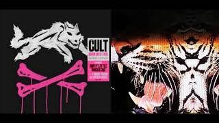 THE CULT - War Pony Destroyer (full song, HQ, 2007)