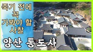 [삼보사찰 천리순례 특집] 불교중흥을 위한 위대한 발걸음, 그 종착지 ‘양산 영축산 통도사’