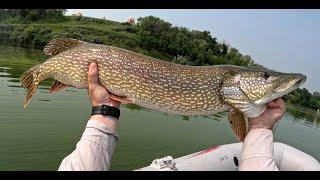 Pike Bound on Buffalo Pound - New Personal Best!