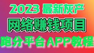 2023灰产项目|网赚 |网络赚钱 |毫无风险，教你十分钟就可以赚到1000。灰产 跑分 跑货 真实演示（真实网站测试）