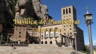 Basílica de Montserrat -  Corpus 2020 -  Catifa FEDECAT