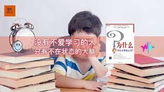 《为什么学生不喜欢上学？》没有不爱学习的人，只有不在状态的大脑【youtube字幕】| 好书精读推荐，见识决定格局，读书改变命运