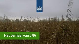 Het verhaal van LNV