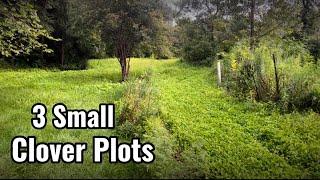 Spring Planting 3 small Clover Food Plots